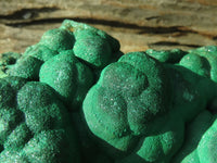 Natural Botryoidal Malachite Specimen  x 1 From Kolwezi, Congo