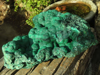 Natural Botryoidal Malachite Specimen  x 1 From Kolwezi, Congo