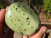 Polished Green Leopard Stone Standing Free Forms x 6 From Zimbabwe