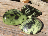 Polished Green Leopard Stone Standing Free Forms x 6 From Zimbabwe