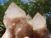 Natural Cascading Smokey White Phantom Quartz Clusters  x 6 From Luena, Congo - TopRock