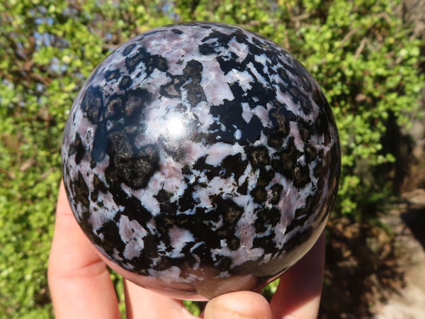 Polished Gabbro / Merlinite Spheres  x 2 From Ambatondrazaka, Madagascar