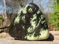 Polished Green Leopard Stone Standing Free Forms x 6 From Zimbabwe