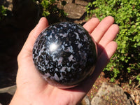 Polished Gabbro / Merlinite Spheres  x 2 From Ambatondrazaka, Madagascar