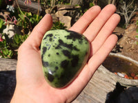 Polished Green Leopard Stone Standing Free Forms x 6 From Zimbabwe