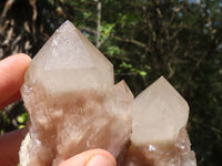 Natural Cascading Smokey White Phantom Quartz Clusters  x 6 From Luena, Congo - TopRock