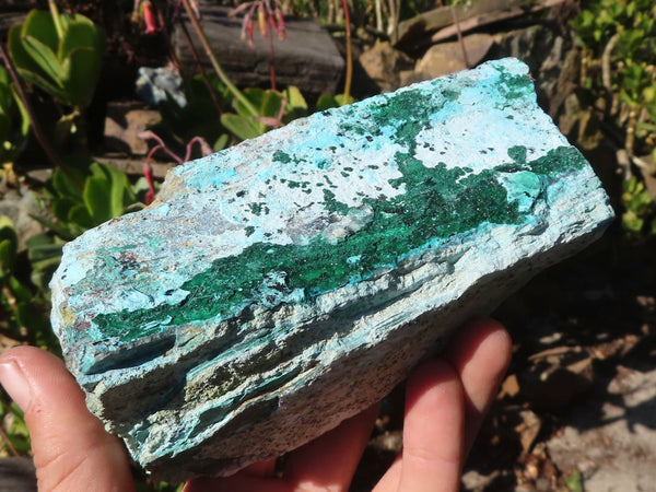 Natural Blue Drusy Coated Chrysocolla & Malachite Specimens x 2 From Likasi, Congo