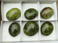 Polished Large Green Opal Palm Stones  x 6 From Madagascar - TopRock