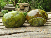 Polished Large Green Opal Palm Stones  x 6 From Madagascar - TopRock