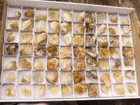 Natural Small Golden Limonite / Lemonite Quartz Clusters  x 70 From Zambia - Toprock Gemstones and Minerals 