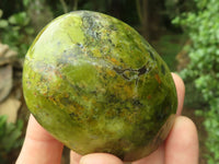 Polished Large Green Opal Palm Stones  x 6 From Madagascar - TopRock