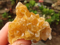 Natural Small Golden Limonite / Lemonite Quartz Clusters  x 70 From Zambia - Toprock Gemstones and Minerals 