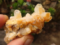 Natural Small Golden Limonite / Lemonite Quartz Clusters  x 70 From Zambia - Toprock Gemstones and Minerals 