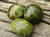 Polished Large Green Opal Palm Stones  x 6 From Madagascar - TopRock