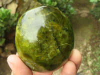 Polished Large Green Opal Palm Stones  x 6 From Madagascar - TopRock