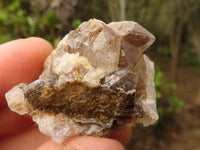 Natural Small Golden Limonite / Lemonite Quartz Clusters  x 70 From Zambia - Toprock Gemstones and Minerals 