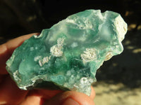 Polished One Side Polished Emerald Mtorolite Plates  x 24 From Zimbabwe