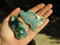 Polished One Side Polished Emerald Mtorolite Plates  x 24 From Zimbabwe