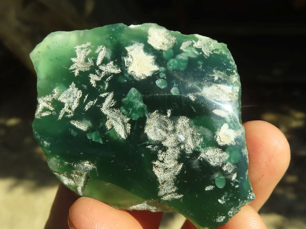 Polished One Side Polished Emerald Mtorolite Plates  x 24 From Zimbabwe