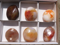 Polished Extra Large Carnelian Agate Palm Stones  x 6 From Madagascar - TopRock