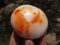 Polished Extra Large Carnelian Agate Palm Stones  x 6 From Madagascar - TopRock