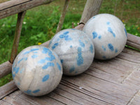 Polished Blue Dalmatian Spotted Spinel Spheres x 3 From Madagascar - TopRock