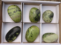 Polished Spotted Leopard Stone Free Forms  x 6 From Zimbabwe