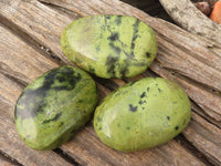 Polished Spotted Leopard Stone Free Forms  x 6 From Zimbabwe