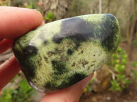 Polished Spotted Leopard Stone Free Forms  x 6 From Zimbabwe