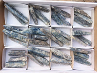 Natural Single Blue Kyanite Crystals  x 36 From Karoi, Zimbabwe