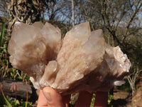 Natural Cascading Smokey Quartz Clusters x 3 From Luena, Congo