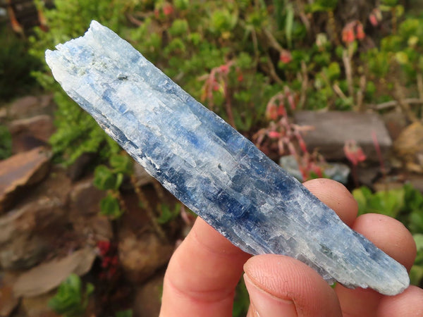 Natural Single Blue Kyanite Crystals  x 36 From Karoi, Zimbabwe