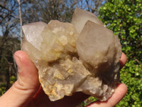 Natural Cascading Smokey Quartz Clusters x 3 From Luena, Congo