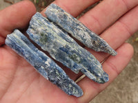 Natural Single Blue Kyanite Crystals  x 36 From Karoi, Zimbabwe