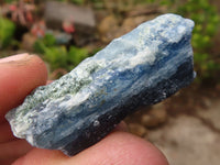 Natural Single Blue Kyanite Crystals  x 36 From Karoi, Zimbabwe