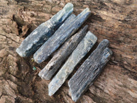 Natural Single Blue Kyanite Crystals  x 36 From Karoi, Zimbabwe