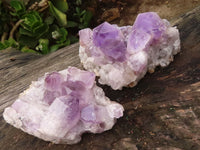 Natural Jacaranda Amethyst Clusters  x 2 From Zambia - Toprock Gemstones and Minerals 