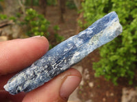 Natural Single Blue Kyanite Crystals  x 36 From Karoi, Zimbabwe