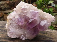 Natural Jacaranda Amethyst Clusters  x 2 From Zambia - Toprock Gemstones and Minerals 