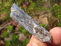 Natural Single Blue Kyanite Crystals  x 36 From Karoi, Zimbabwe