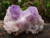 Natural Jacaranda Amethyst Clusters  x 2 From Zambia - Toprock Gemstones and Minerals 