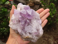 Natural Jacaranda Amethyst Clusters  x 2 From Zambia - Toprock Gemstones and Minerals 