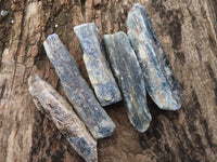 Natural Single Blue Kyanite Crystals  x 36 From Karoi, Zimbabwe