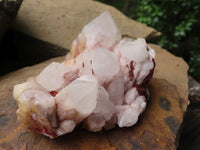 Natural Selected White Phantom Hematoid Quartz Crystals  x 24 From Madagascar - TopRock