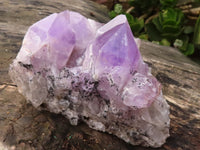 Natural Jacaranda Amethyst Clusters  x 2 From Zambia - Toprock Gemstones and Minerals 