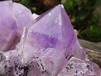 Natural Jacaranda Amethyst Clusters  x 2 From Zambia - Toprock Gemstones and Minerals 