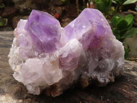 Natural Jacaranda Amethyst Clusters  x 2 From Zambia - Toprock Gemstones and Minerals 