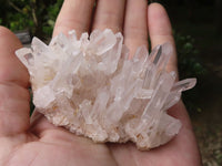 Natural Selected White Phantom Hematoid Quartz Crystals  x 24 From Madagascar - TopRock