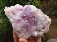 Natural Jacaranda Amethyst Clusters  x 2 From Zambia - Toprock Gemstones and Minerals 