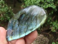 Polished Flashy Labradorite Standing Free Forms  x 6 From Tulear, Madagascar - TopRock